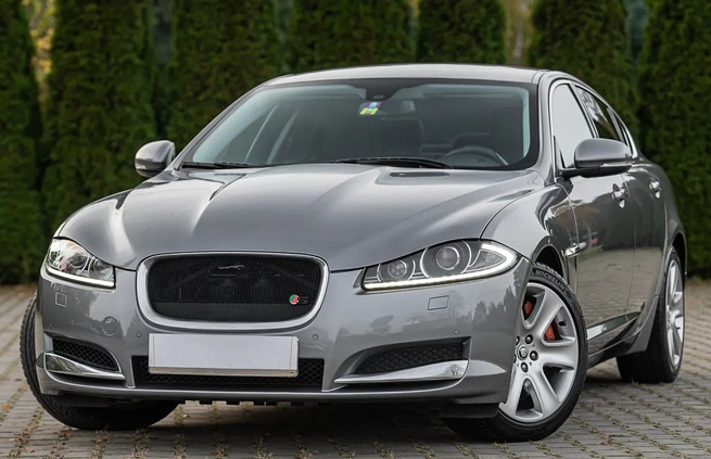 Jaguar XF cena 56900 przebieg: 177123, rok produkcji 2013 z Żmigród małe 436